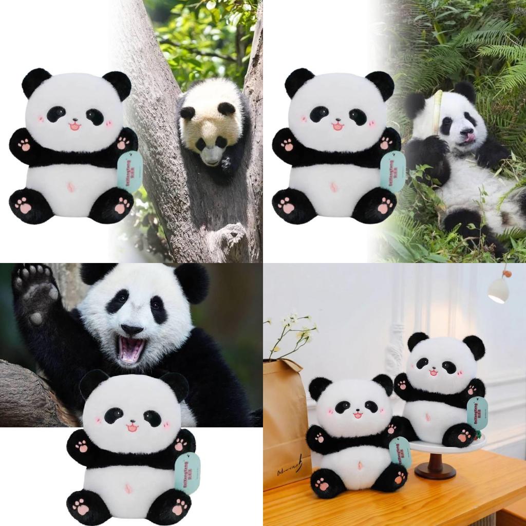 Adorable 8 Inch Panda Plush Toy Ideal For Promotions And Event Giveaways