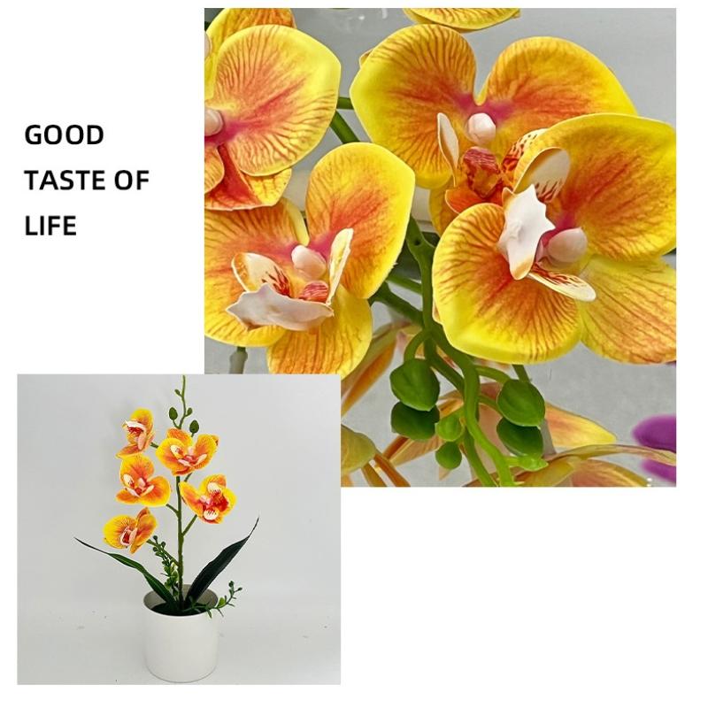 5 Plantas Simuladas de Phalaenopsis en Maceta para Decoración de Hogar y Oficina Plantas Pequeñas en Maceta Falso Bonsái Plantas Verdes