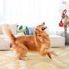 Elastic Ball For Dogs Rope Chew Teether Game Interactive Dog Toy For Animal Indoor Outdoor Ground Living Room Beach Lake