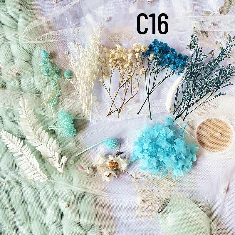 Kit DIY Fleur Éternelle: Cadre photo de fleurs séchées, éventail rond, bouteille flottante, composition florale réelle pour la décoration du salon ou de la maternelle.