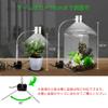 EAYHM Aquarium Light and Aquatic Plant Growing Light Stand Multifunctional Color LED Small Aquarium Light