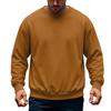 Men's Casual Loose Fit Crewneck Sweatshirt for Fall and Winter Everyday Wear