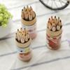 12pcs/set The Cute Mini 12 Color Pencils Painting Pens Painted Colored Pencils Drawing Pens