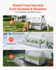 Raised Garden Bed with Cover, 1800 X 900 X 300 Mm, Rectangular Galvanized Metal Planter Box Outdoor, with PE Greenhouse Cover & Gloves, Rustproof