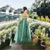 Authentic Tang Dynasty Style Hanfu Set Womens Wrap Skirt Outfit With Floral Print Embroidery