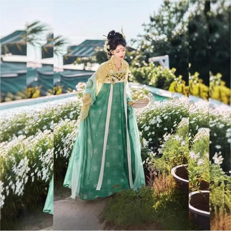 Authentic Tang Dynasty Style Hanfu Set Womens Wrap Skirt Outfit With Floral Print Embroidery