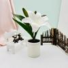 Lily Elegant Artificial Green Potted Plant For Living Room Decor Tabletop