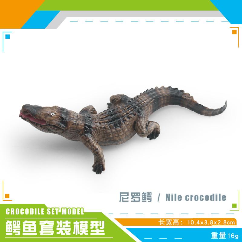 Mini Crocodile Wild Boar Caiman Nile Crocodile Alligator Wildlife Animal Model Scale Miniatures Decorations Simulated Home Decor