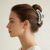 Jelly-colored hollow crescent hairpin PS high-end arc texture shark clip plate hair ponytail grip hair ornament
