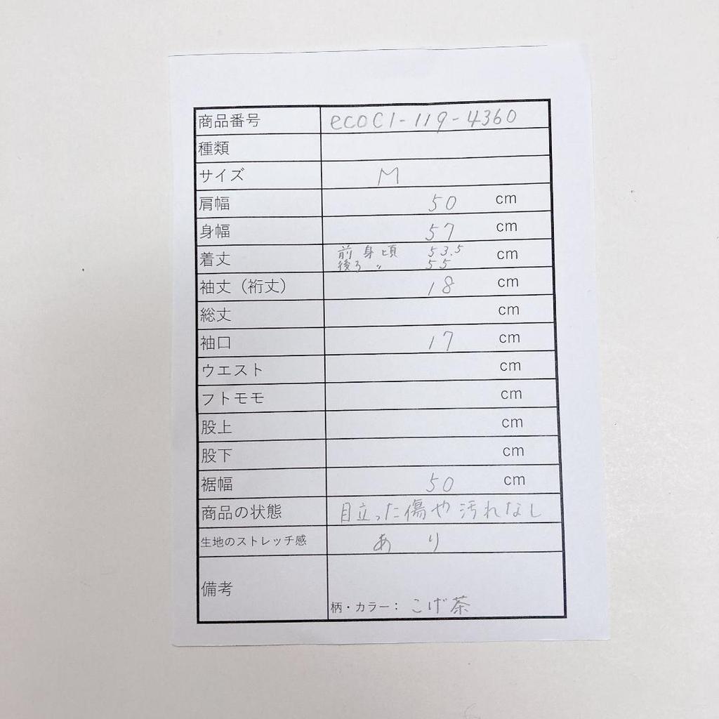 [USED] Plastic Tree Live Hoodie