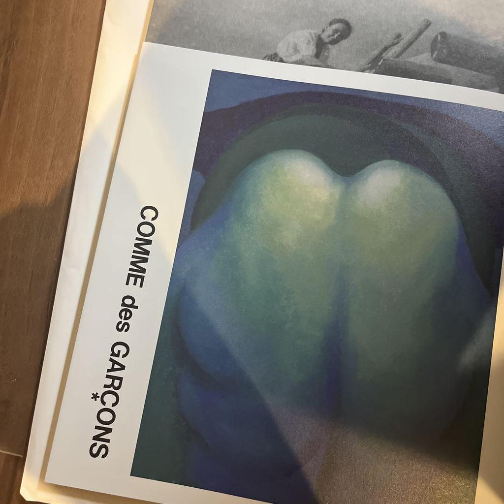 [USED] Comme Des Garcons Georgia O'Keeffe Art Book