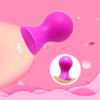 1 Pair Adult Fun Sex Toys BDSM Silicone Nipple Sucker Flirting Device Couple Sex Training Stimulation Milk Suction Cup Cupping Clitoris Suction 
