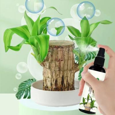 100ml Bitki Besin Çözeltisi Brezilya Ahşabı Özel Sıvı Gübre Pratik Ev Hidroponik Bitki Besin Çözeltisi