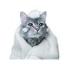 Cute Cartoon Cat Bathroom Toilet Lid Decorative Wall Sticker for Home Decor