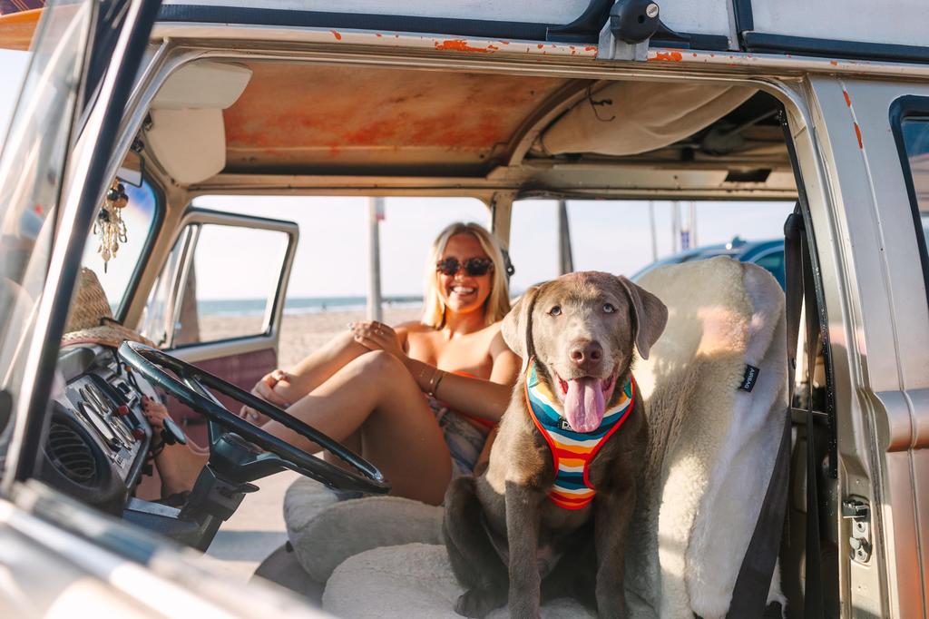 DOOG Neoflex Harness XS Scout