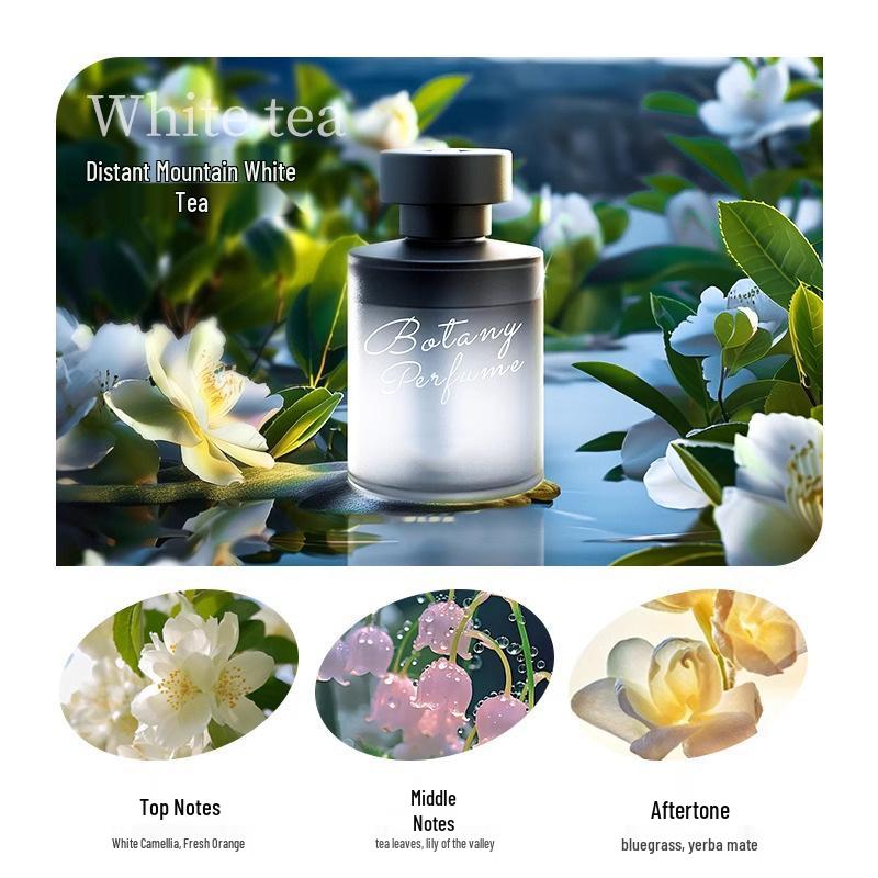 Premium Long-Lasting Indoor Essential Oil for Bathroom & Toilet with Free Shipping On First Order