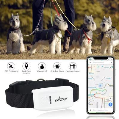 GPS-Tracker Haustier 2G GSM Mit Halsband Und Kostenloser App-Verfolgung Wasserdicht IP67 Für Hund Katze