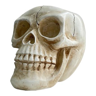 Resin Human Skull Model Flower Pot Skull Ornament Succulent Plant Pot Skeleton Flower Pot Planter Sculpture Home Decor Crafts