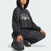 Adidas Originals Cropped Hoodie With Letter Logo Print Women Hoodies Black IT9772