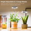 Ground-plugged Plant Light Timable Dimmable Angel Ring Full Spectrum Imitation Sunlight Succulent