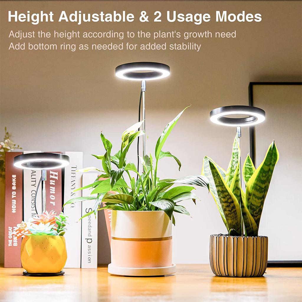Ground-plugged Plant Light Timable Dimmable Angel Ring Full Spectrum Imitation Sunlight Succulent