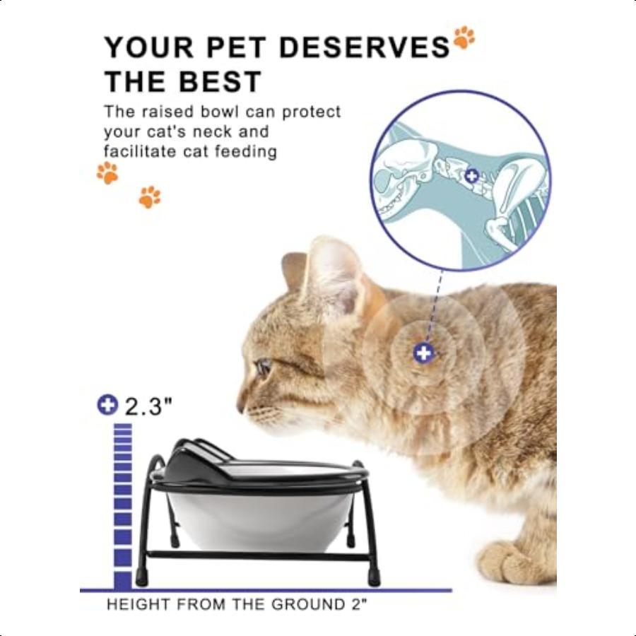 Cat Food Bowls 12 Oz Raised Cat Bowls for Food and Water Ceramic Elevated Pet Dishes Bowls with Stand Cats and Small Dogs Dishw