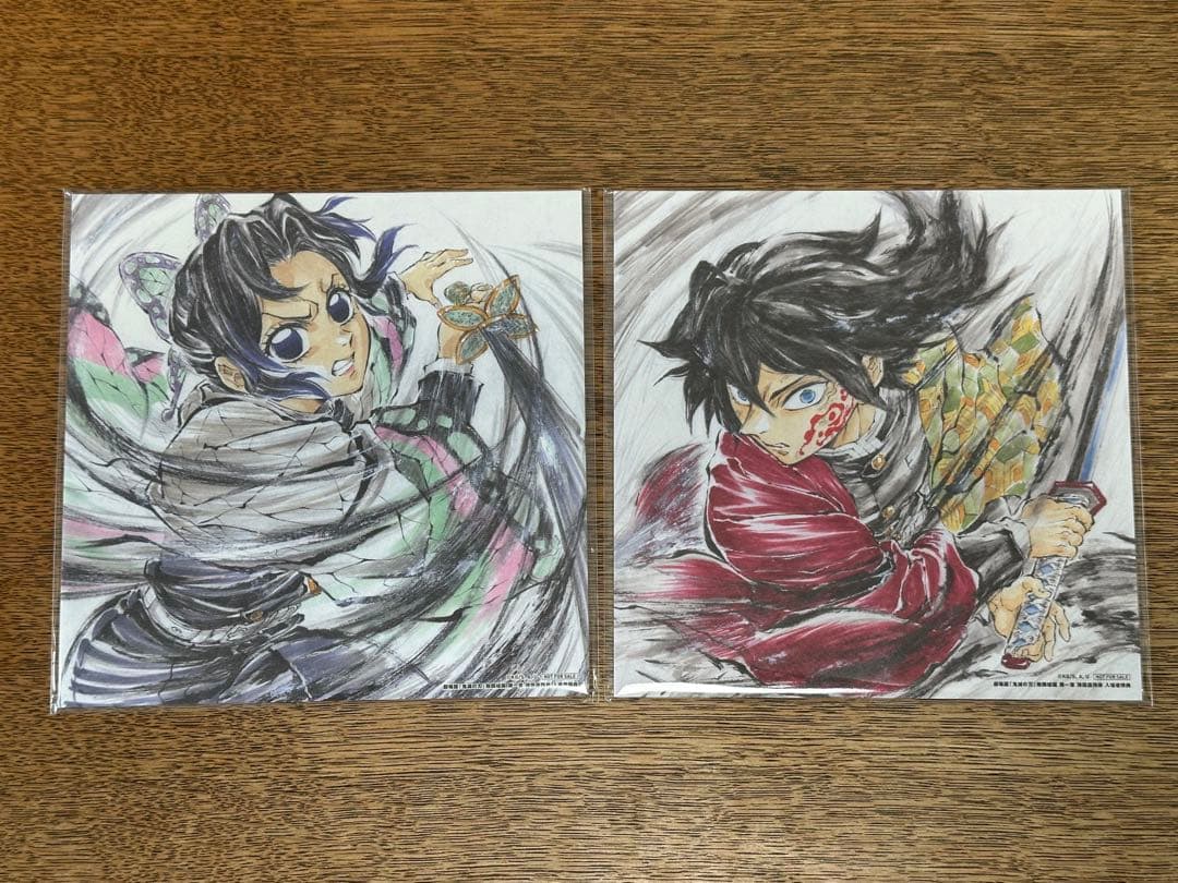 [USED] Demon Slayer: Kimetsu no Yaiba the Movie: Infinity Castle - Theatergoer Bonus - Giyu & Shinobu