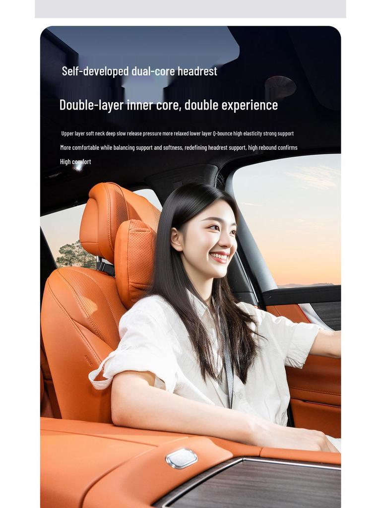 BMW Kopfstützen-Nacken- und Lendenwirbelstützkissen-Set für 3er/5er Serie & X1/X3/X5/X6 - Universell, Ganzjahres