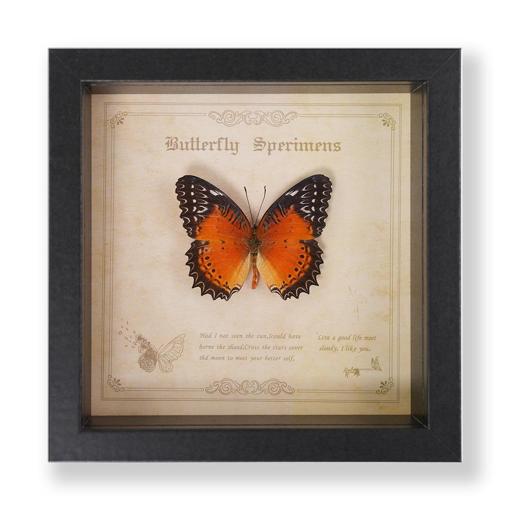 Green Banded Swallowtail Butterfly Specimen Decorative Painting - Real Insect for Display