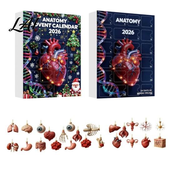 Creative Science Decor 2026 Anatomy Advent Calendar 24-Day Body Organ Ornament Set Human Anatomical Acrylic Hanging Charms for Christmas Tree Gift