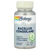 Solaray Bacillus Coagulans 5 Billion CFU Veggie Capsules, 60 Count