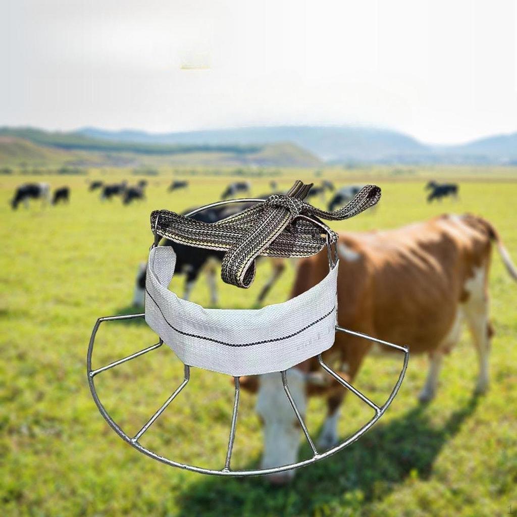 Calf Weaning Equipment Weaner Ring Livestock Supply Farm Feeding Supplies