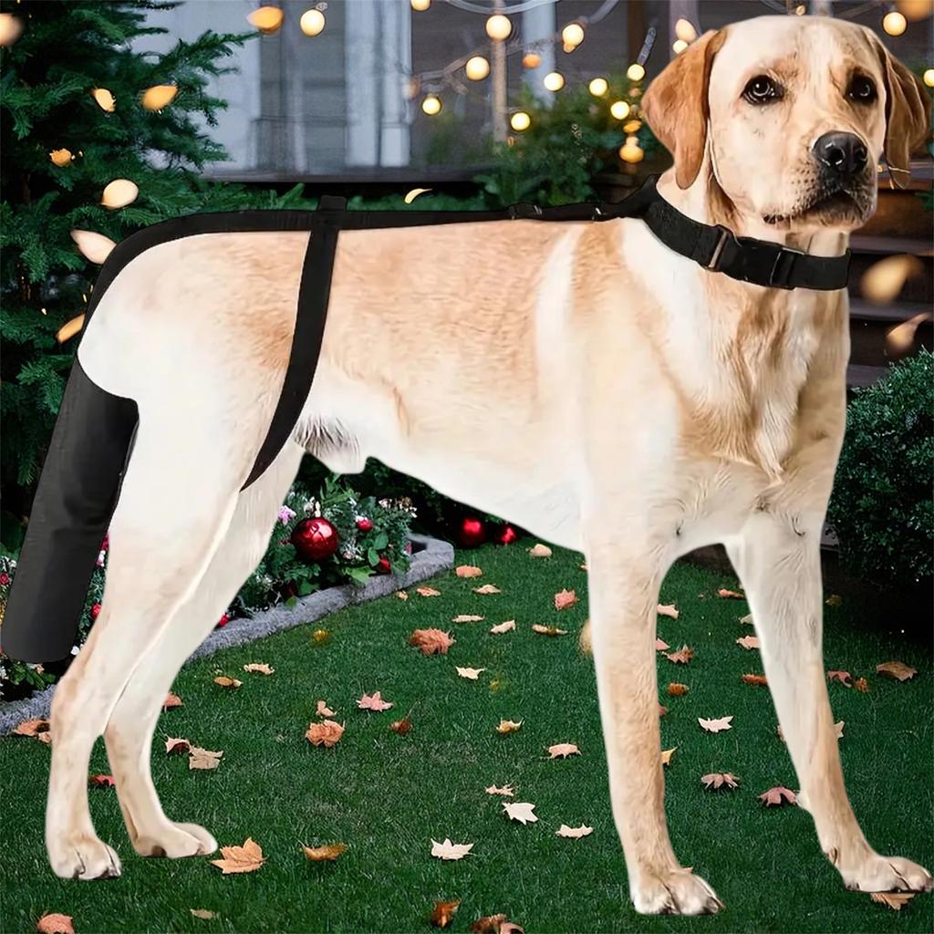 Adjustable Dog Leg Protector for Medium Large Dogs Dog Leg Cover for Wounds Dog Leg Guard with Straps and Padding