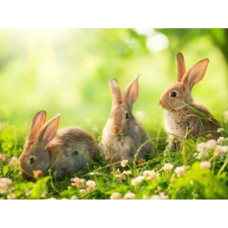 

5D Diy Алмазная картина Весенний пейзаж Алмазная вышивка Животное Вышивка крестом Мозаика Домашний декор Подарок Full Round 30x40CM