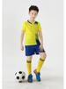 Quick-Drying Football Uniform Set for Adults and Kids - Ideal for Training and Competition