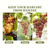 50pcs Reusable Fruit And Vegetable Protection Bags - 12x9cm  Drawstring Net Cover