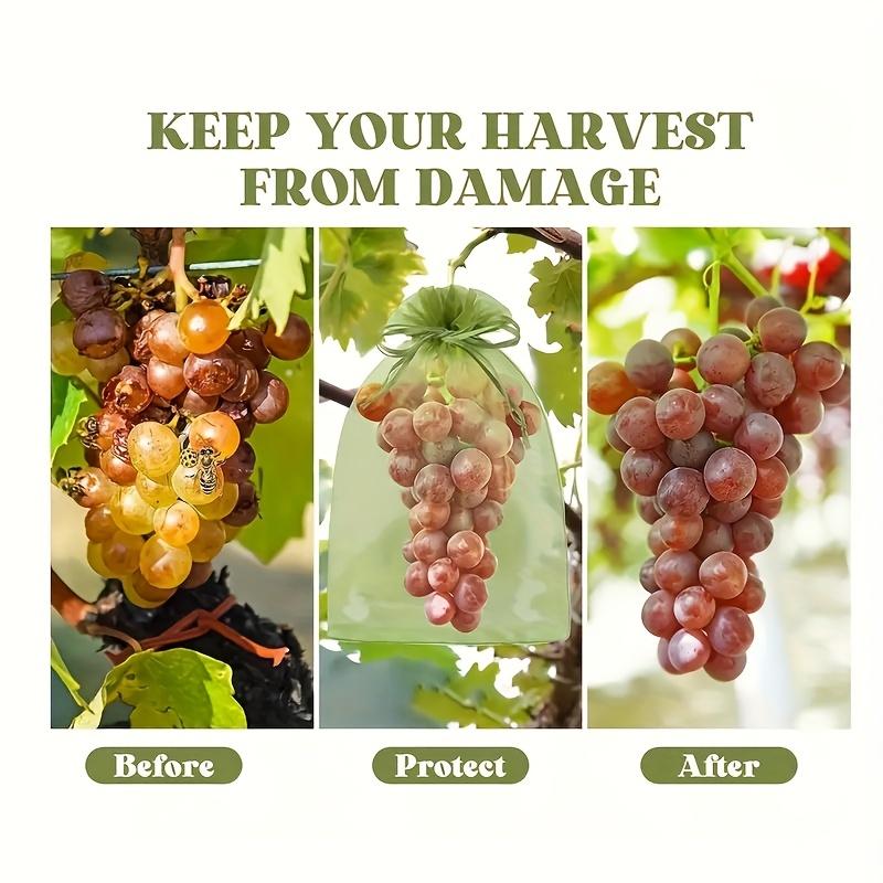 50pcs Reusable Fruit And Vegetable Protection Bags - 12x9cm  Drawstring Net Cover