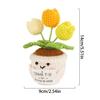 Crocheted Wool Doll Potted Plants, Creative Potted Plants, Cute Ornaments, Home Decoration, Handicrafts, Gifts