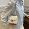 Stylish Trendy Summer 2024 Small Crossbody Bag For Women Pu Leather Chic Street Fashion