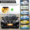 Alpmosn 2PCS Stainless Steel License Plate Frames, 4 Holes Car Licence Plate Covers with Screws Washers and Caps, Car Exterior Accessories, License