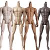 Original Adonis Muscle Body White Latino Tan Black Skin Tone 1/6 Dolls Joints Movable Male Doll Body
