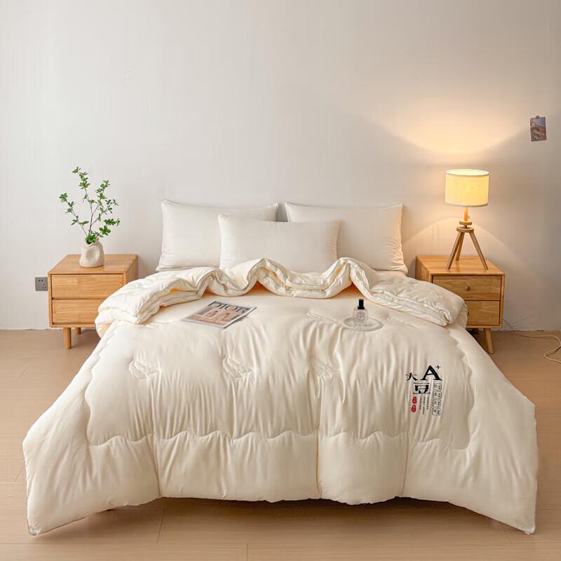 

Muji A-Class Soy Fiber Quilt