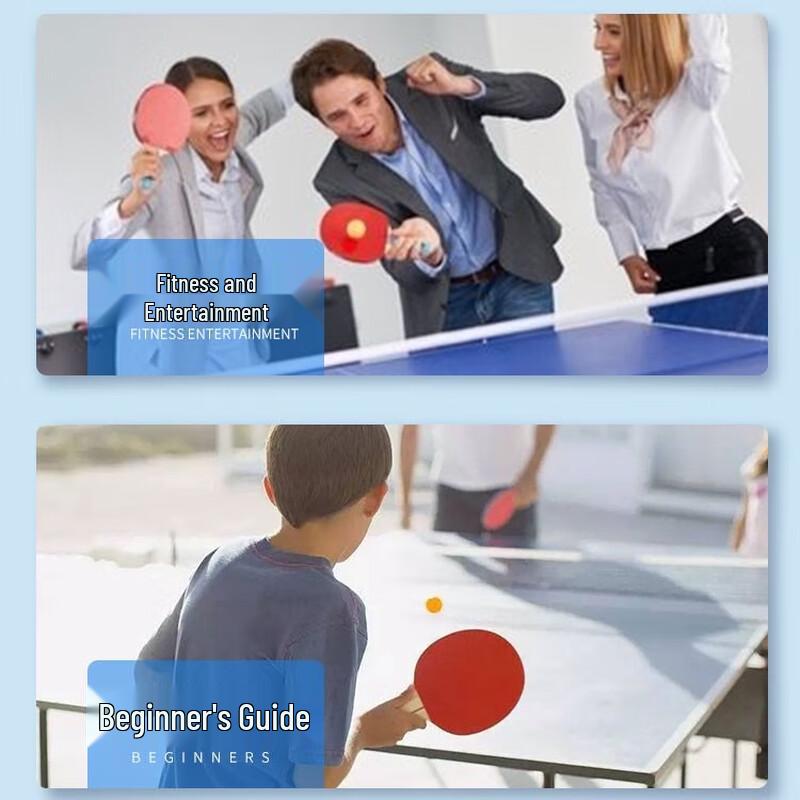 DHS 2-Star Table Tennis Racket