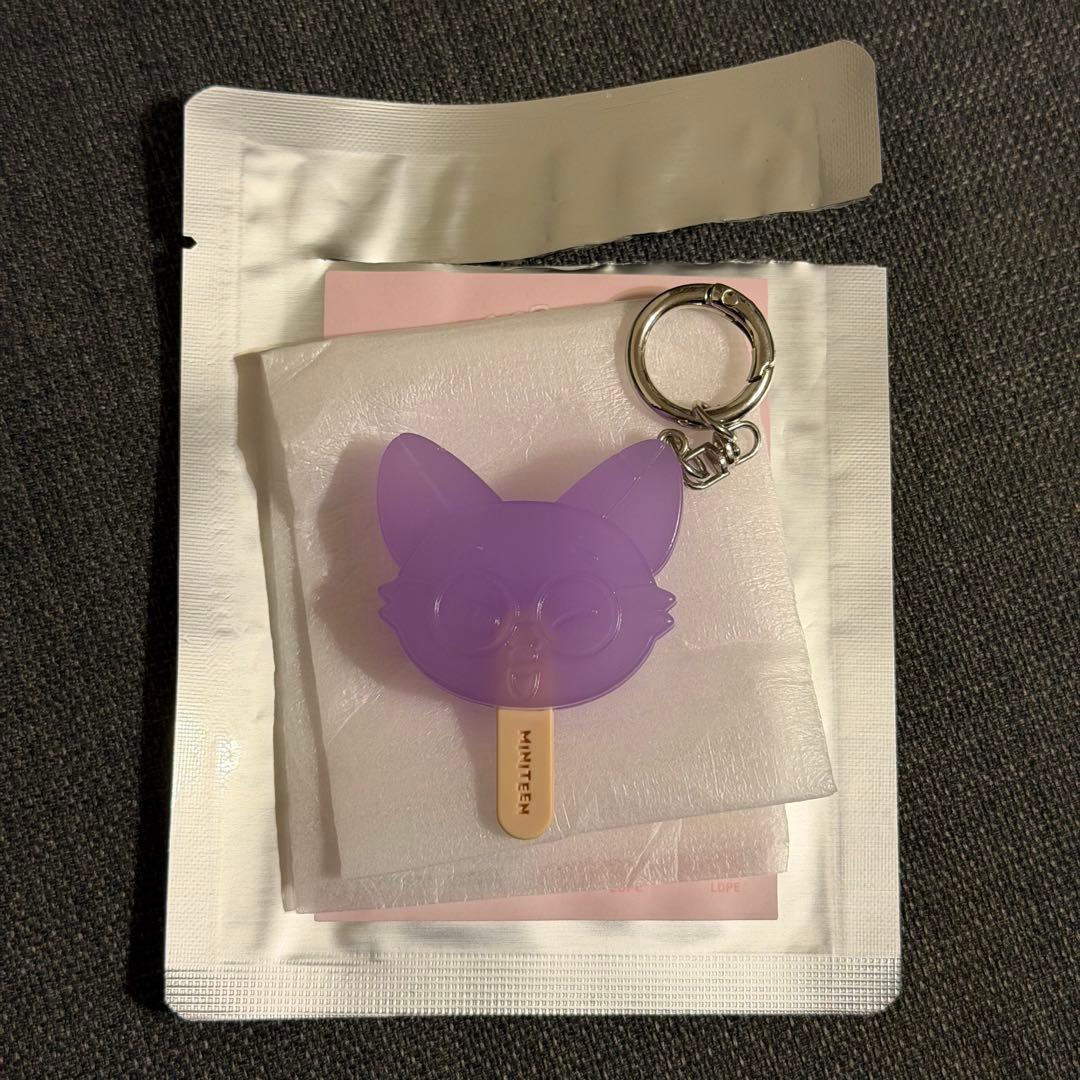[USED] MINITEEN Wonwoo FOXDUNGEE Keyring Keychain Lucky Drop