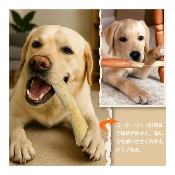 DFsucces Dog Chew Toy, Coffee Wood, Additive-Free Dog Toy, Wooden Bone, Wooden Stick, Super Hard Natural Wood, Dog Toy, Destruction Prevention,