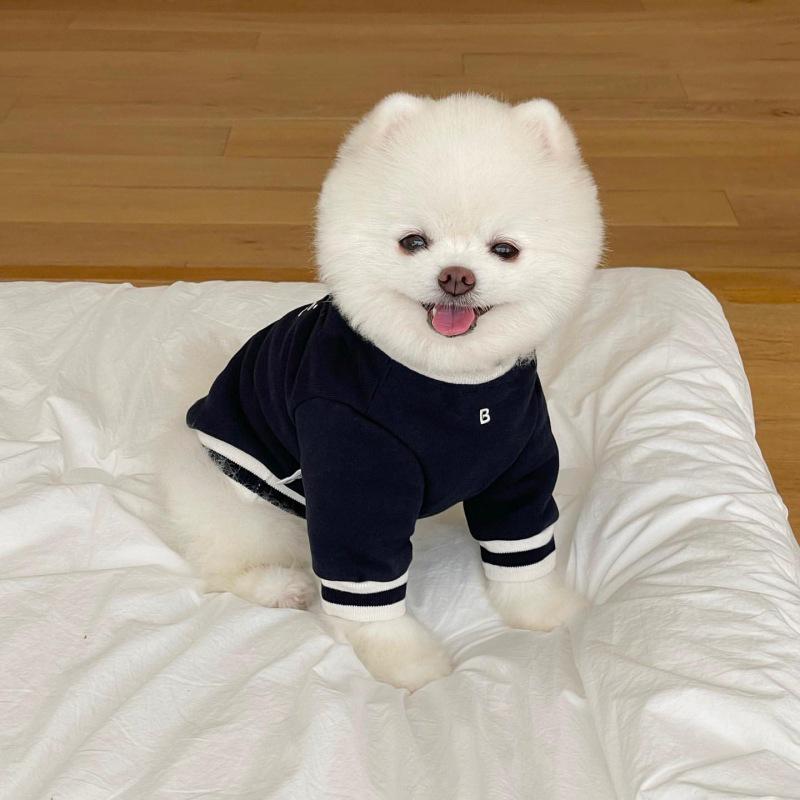 Winter Warm Pet Dog Clothes for Small Medium Dogs Velveted Dog Hoodies Sweatshirt Puppy Pullover Dog Accessories