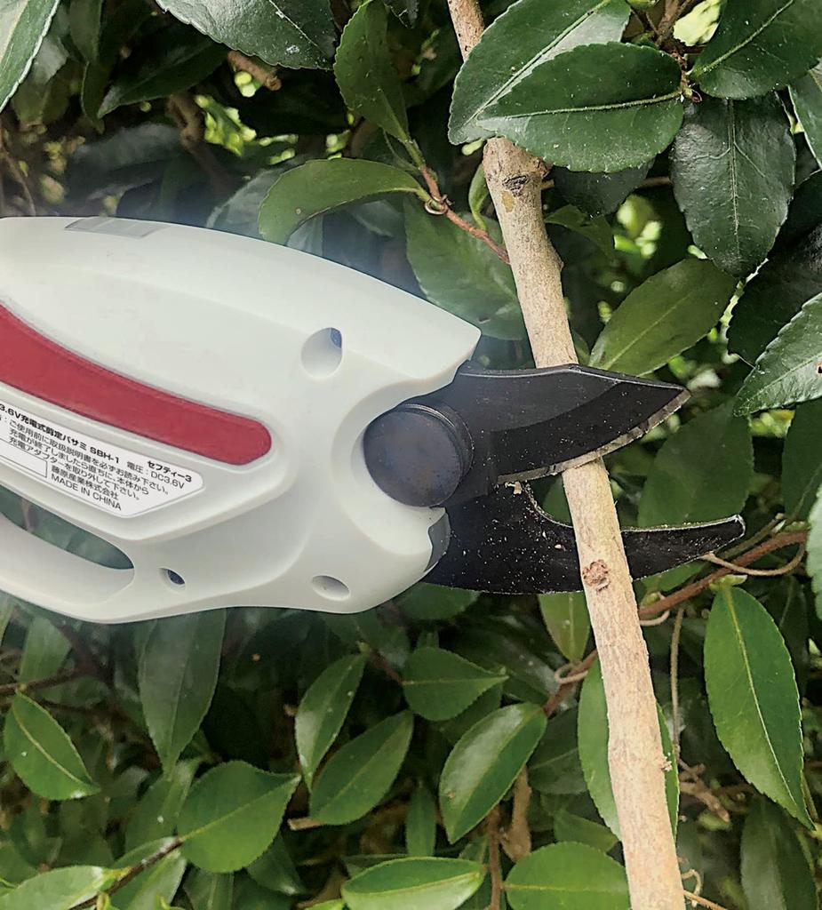 Rechargeable Pruning Shears for Garden Maximum Cutting Diameter Micro USB Cord Charging Safety-3 3.6V Trees, 10mm, SBH-1