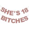 Pre-Strung She's 18 Bitches Banner Funny Girl 18th Birthday Decorations for Her Girls Rose Gold Glitter Happy 18th Birthday Supplies Banner Theme
