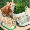 Removable Cat Grass Planter Box Layered Design Hydroponic Cat Grass Box  Home Decor