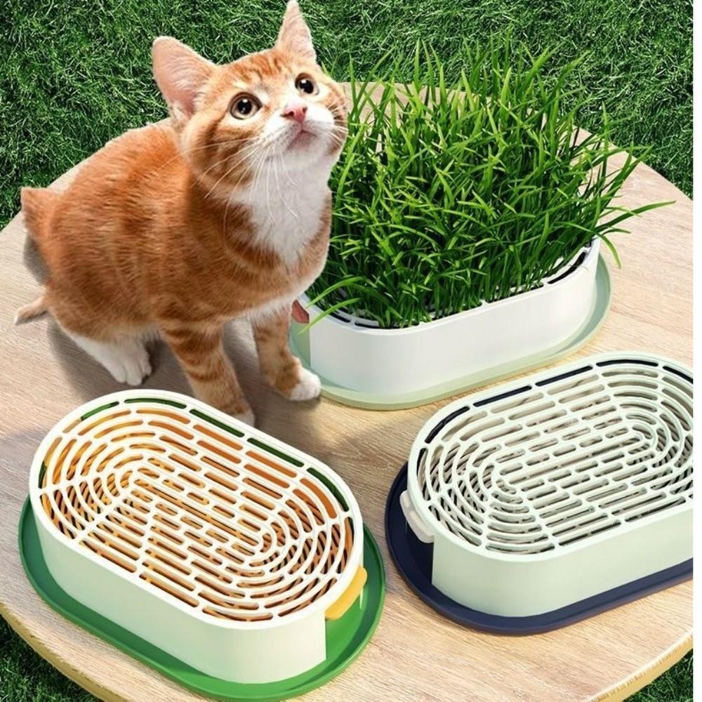 Removable Cat Grass Planter Box Layered Design Hydroponic Cat Grass Box  Home Decor